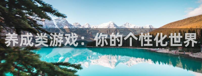 杏运电影免费观看