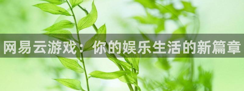 杏运连连：网易云游戏：你的娱乐生活的新篇章