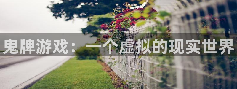 杏运电影免费观看：鬼牌游戏：一个虚拟的现实世界