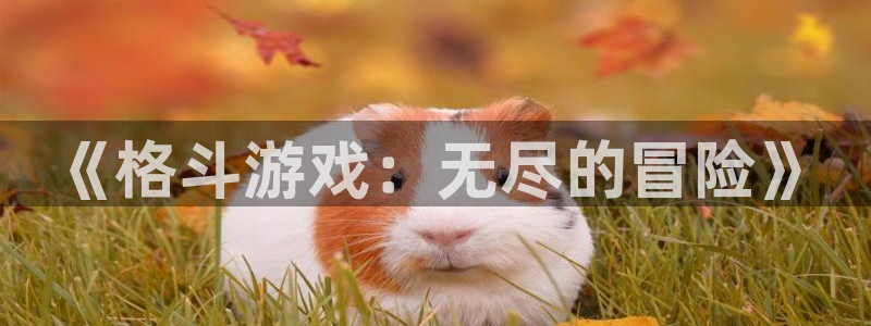 杏运连连：《格斗游戏：无尽的冒险》