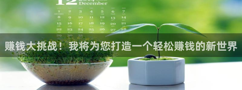 杏运连连：赚钱大挑战！我将为您打造一个轻松赚钱的新世界