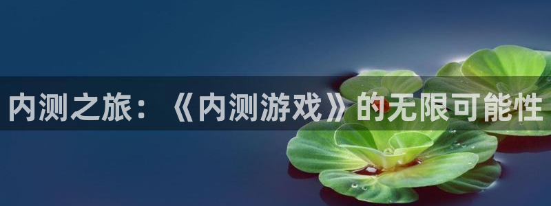 杏运杏运注册：内测之旅：《内测游戏》的无限可能性