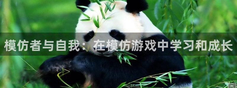 杏运娱乐手机端官网