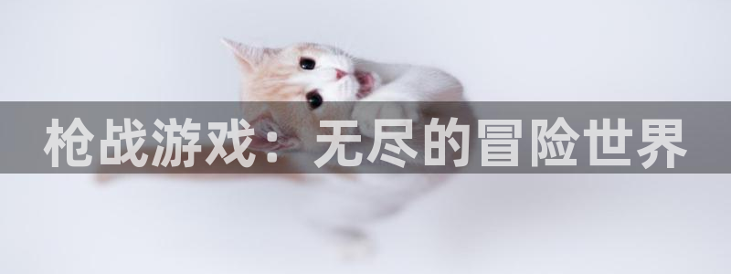 杏运娱乐注册：枪战游戏：无尽的冒险世界