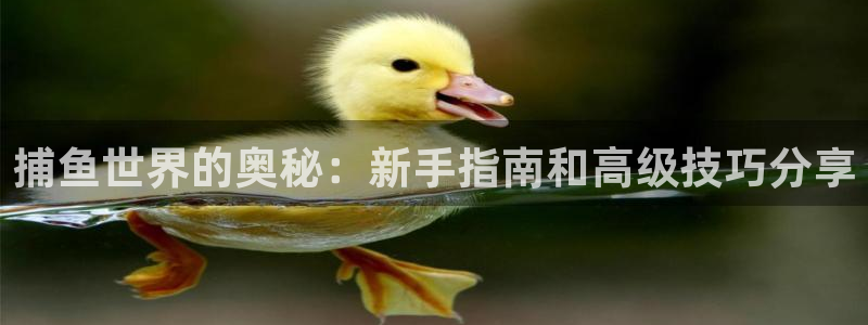 杏运娱乐怎么样