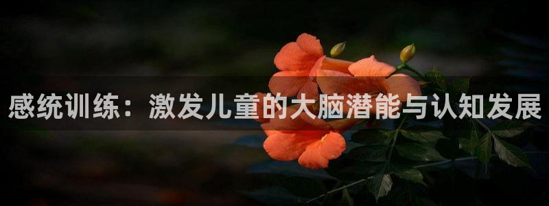 杏运娱乐手机端官网