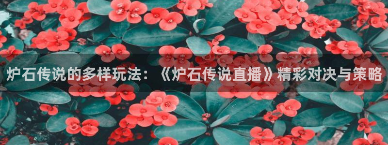 鲸鱼nba直播在线观看：炉石传说的多样玩法：《炉石传说直播》精彩对决与策略
