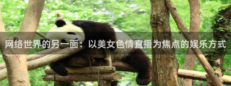 鲸鱼体育直播app官网下载：网络世界的另一面：以美女色情直播为焦点的娱乐方式